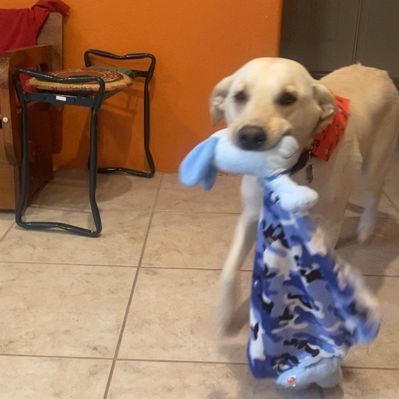 Meet your Posher, Sharon - Picture 2 of 4